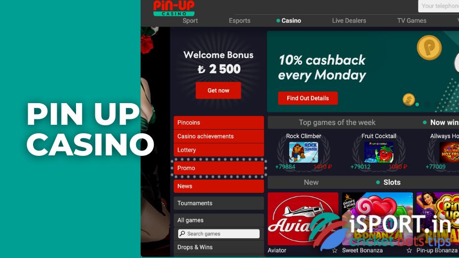 casino pin up online game stots